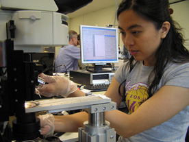 news-pinay scientists in career related talks@dost nstw3-07022015